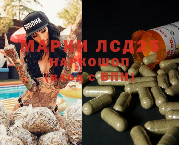 apvp Алзамай