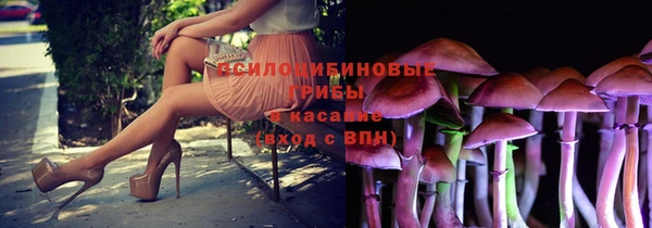 дмт Алексин