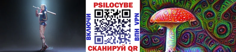 Псилоцибиновые грибы Psilocybine cubensis Злынка