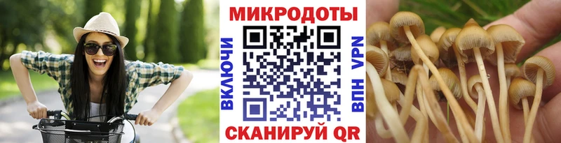 Псилоцибиновые грибы MAGIC MUSHROOMS  Злынка 