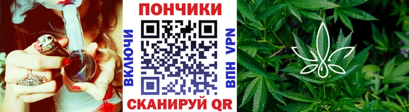 Бошки Шишки LSD WEED Злынка